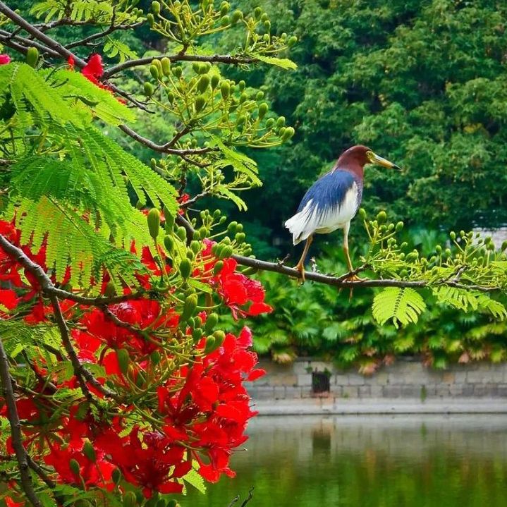 初夏吃什么好？